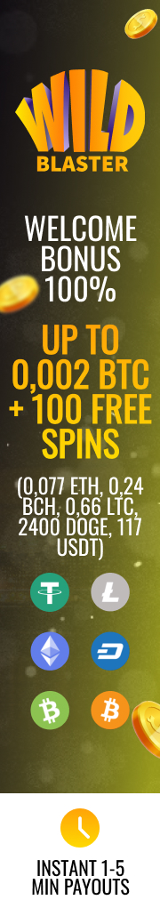Wildblaster Casino Overview
