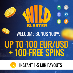 Wildblaster Casino &ouml;versikt