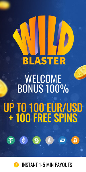 Wildblaster Casino Overview