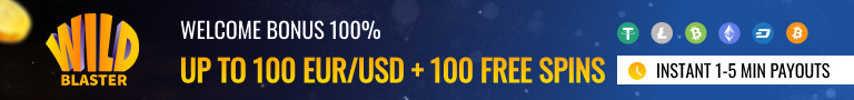 Wildblaster Casino Overview
