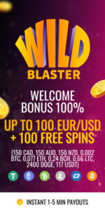 Wildblaster赌场概述