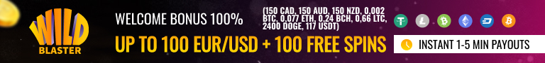 Wildblaster Casino Overview