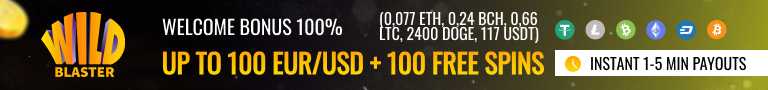 Wildblaster Casino Overview